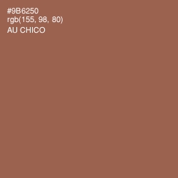 #9B6250 - Au Chico Color Image